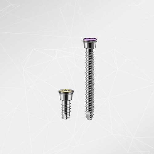 Vite per compressione ossea femorale - aap Implantate - canalare / in metallo / bloccata