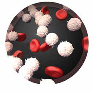 Kit di test per mutazioni di BCR-ABL - RQ-105  series - AB Analitica  - di oncologia / a fluorescenza / per RT-PCR