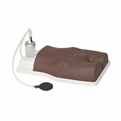 Simulatore didattico - AR341-B - Adam, Rouilly - per cataterismo / per cure cliniche / di torso