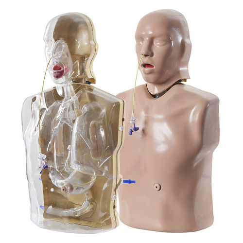 Manichino didattico per cure cliniche - CorMan® - Adam, Rouilly - per intubazione con sonda nasogastrica / di nutrizione / parte superiore del corpo