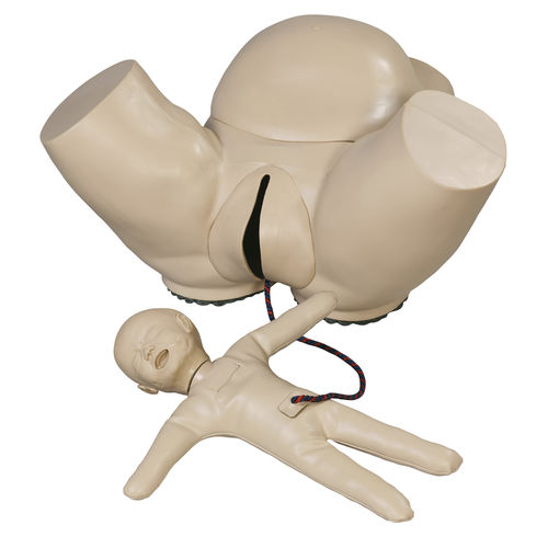 Simulatore didattico - AR50S - Adam, Rouilly - di palpazione / di parto / ostetrico/ginecologico