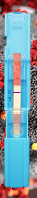 Kit di test per diagnosi COVID-19 - Instant-view® PLUS - Alfa Scientific Designs - per antigeni / SARS-COV-2 / nasofaringeo