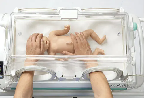 Incubatrice Trasparente Per Ossigenoterapia – Ruote, Nebulizzatore Per Cuccioli, Gatti E Piccoli Animali (Taglie S/M/L)