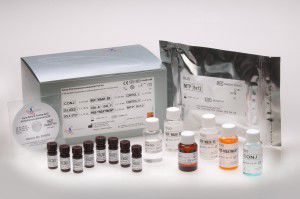 Kit di test VB12 - FMABT100 - Axis-Shield PLC  - per farmacologia / di sangue / di siero