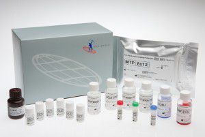 Kit di test della sepsi - FMHBP100IUO - Axis-Shield PLC  - per malattie infettive / dell'apoptosi / HbA