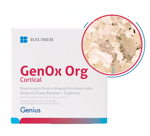 Sostituto osseo xenotrapianto - GenOx Org - BAUMER  - per chirurgia dentale / per chirurgia maxillo-facciale / granulati