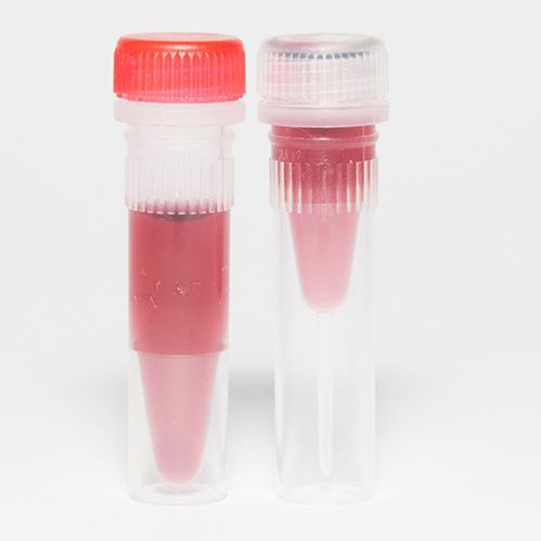 Reagente anticorpo - EM.DAS series - BBI Enzymes  - per ELISA / d'IgG / di origine animale