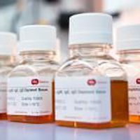 Reagente di siero - SF505-2 - BBI Enzymes  - per chimica clinica / da ricerca / liquido