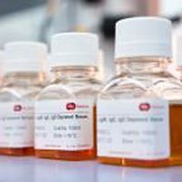 Reagente di siero - SF231-7 - BBI Enzymes  - per chimica clinica / da ricerca / liquido