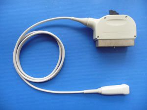 Sonda ecografica phased array - GP3S  - Broadsound Corporation  - cardiaca