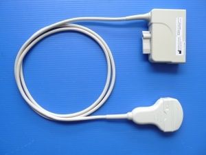 Sonda ecografica convessa - TC375MA  - Broadsound Corporation  - addominale / ostetrica/ginecologica