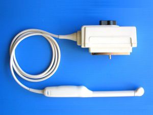 Sonda ecografica endocavitara - AL5E12A  - Broadsound Corporation  - transrettale / transvaginale