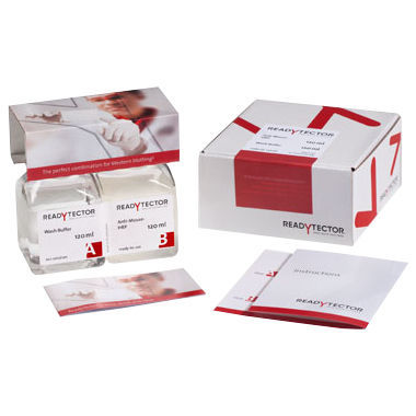 Kit di reagenti in soluzione - ReadyTector®  - CANDOR Bioscience   - tampone di lavaggio / per western blot