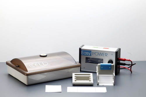 Sistema di elettroforesi manuale - CELL - Start Project  - per proteine / per immunofissazione / da banco