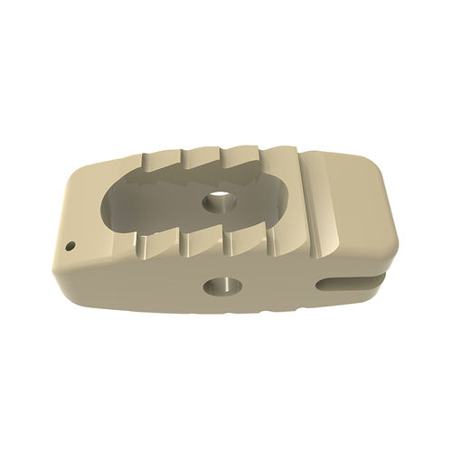 Gabbia intersomatica lombare - BULLET - Waston medical - via posteriore