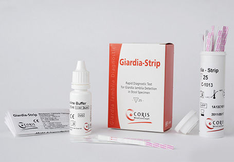 Striscia analitica per malattie infettive - C-1013 - Coris BioConcept - di Giardia lamblia / per feci / immunocromatografica