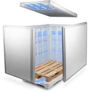 Pallettizzatore per cartoni - B 1009 10 - delta T - Gesellschaft für Medizintechnik - per l'industria farmaceutica