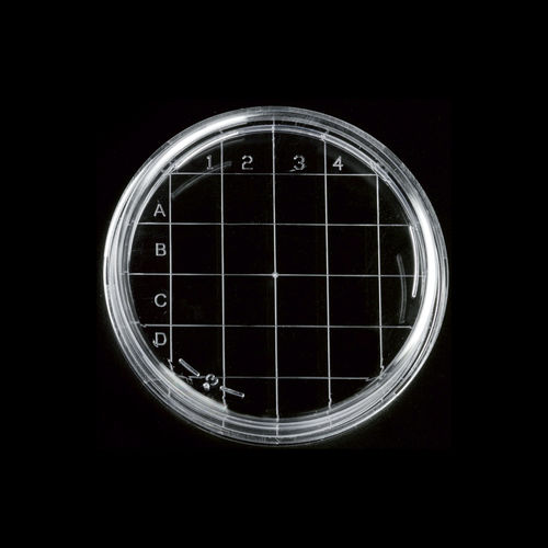 Piastra Petri in polistirene - 2002 series - Deltalab - con reticolo per conteggio