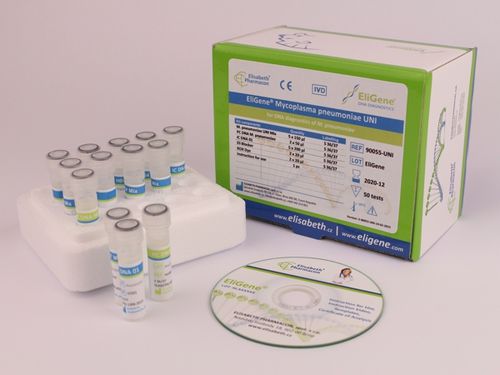 Kit di test per malattie respiratorie - 90055-UNI - Elisabeth Pharmacon spol  - del micoplasma / di espettorato / per tampone faringeo