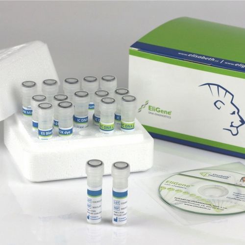 Kit di test per diagnosi COVID-19 - EliGene® - Elisabeth Pharmacon spol  - per prelievo orale / SARS-COV-2 / clinico