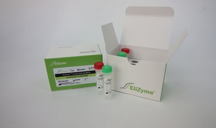 Kit di reagenti enzima - EliZyme™ Probe MIX - Elisabeth Pharmacon spol  - colorante / per PCR real-time / per reazione di amplificazione