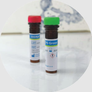 Reagente colorante - ELiDNA™ - Elisabeth Pharmacon spol  - per acidi nucleici / di glicerolo / per DNA