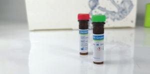 Reagente in soluzione - EliDNA PS Green - Elisabeth Pharmacon spol  - colorante / per elettroforesi / per DNA