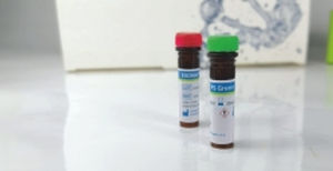 Reagente colorante - EliDNA PS Green Plus - Elisabeth Pharmacon spol  - colorante / per elettroforesi / per DNA