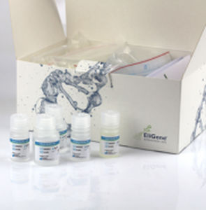 Kit di reagenti in soluzione - EG-409480 - Elisabeth Pharmacon spol  - clinico / da laboratorio / per estrazione di DNA