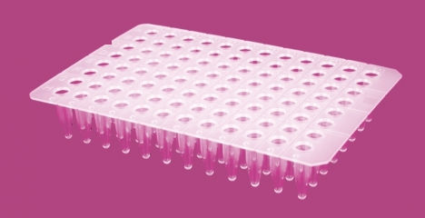 Micropiastra per PCR - AP9602CNS series - Elisabeth Pharmacon spol  - a 96 pozzetti