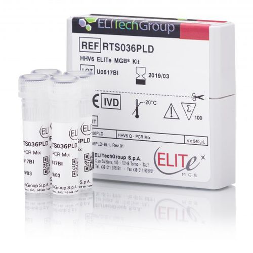 Kit di test dell'herpes - RTS036PLD - ELITech Group  - di herpevirus umano 6 / al plasma / di sangue totale