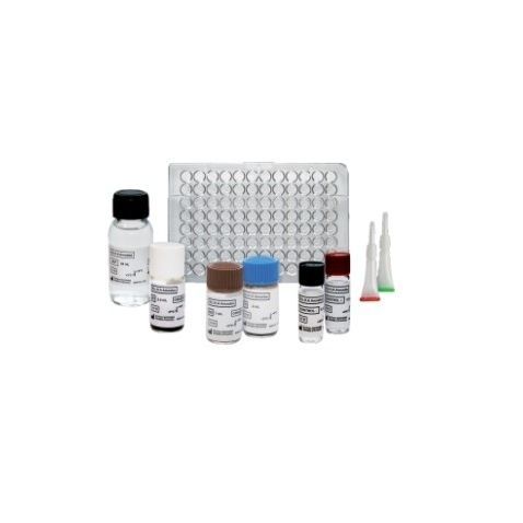 Kit di test Distomiasi - ELI.H.A Distoma - ELITech Group  - di serologia / di Fasciola hepatica / di siero