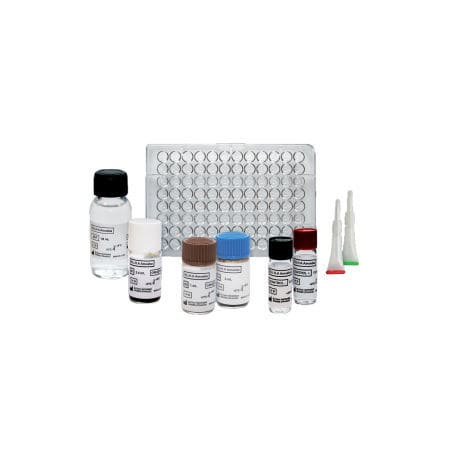 Kit di test della toxoplasmosi - ELI.H.A Toxo - ELITech Group  - d'IgG / di IgM / di Toxoplasma gondii