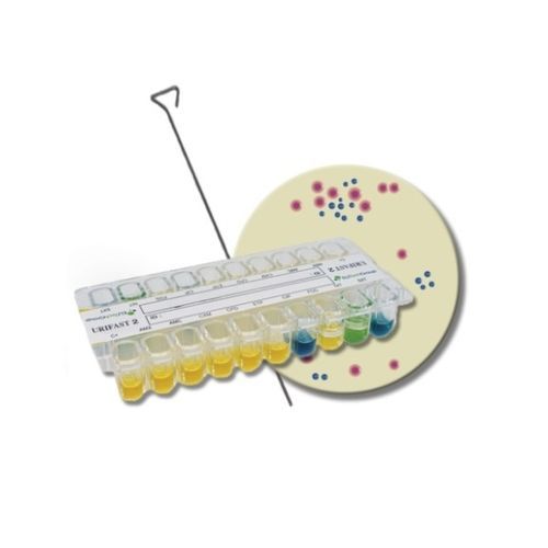 Test rapido per test di sensibilità agli antibiotici - URIFAST® 2 - ELITech Group  - degli enterobatteri / clinico / da laboratorio