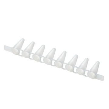 Provetta da laboratorio - 00301249 series - Eppendorf SE - per PCR / conica / in polietilene