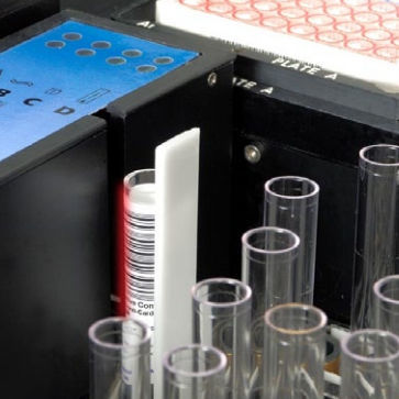 Kit di test di Toxoplasma gondii - 967-810 - ERBA Diagnostics Mannheim - di immunità / di immunoglobuline A / di IgM
