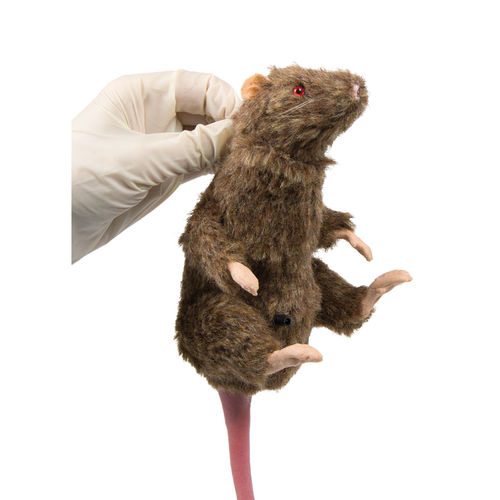 Manichino didattico per sperimentazione animale - VET4210 - Erler-Zimmer - di roditore
