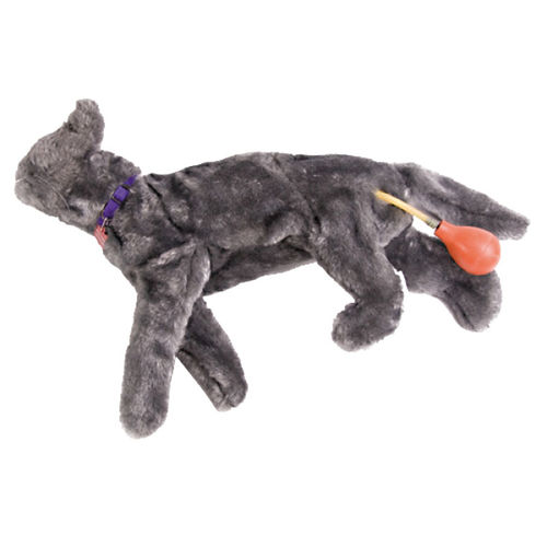 Manichino didattico per bendaggio - VET4100 - Erler-Zimmer - per RCP / di felino