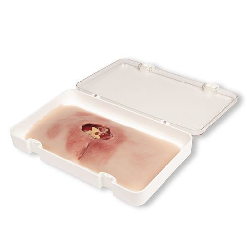 Simulatore didattico - PW001B - Erler-Zimmer - di dimostrazione / di trattamento di ferite / per chirurgia