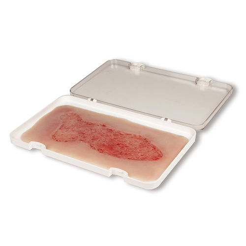 Simulatore di trattamento di ferite - PW003C - Erler-Zimmer - per cure infermieristiche / pad