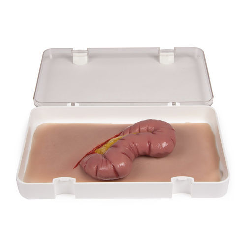 Simulatore didattico - NW109 - Erler-Zimmer - di trattamento di ferite / per interventi di emergenza / pad