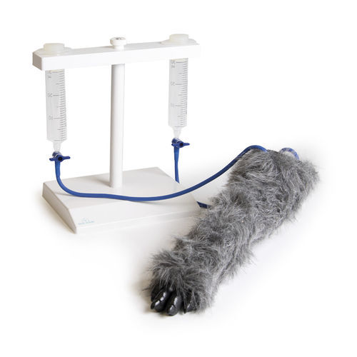 Simulatore per iniezioni endovenose - VET4610 - Erler-Zimmer - veterinario / canino / di mano