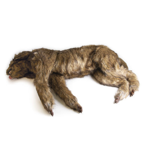 Manichino didattico per chirurgia - VET4630 - Erler-Zimmer - veterinario / di dimostrazione / cane