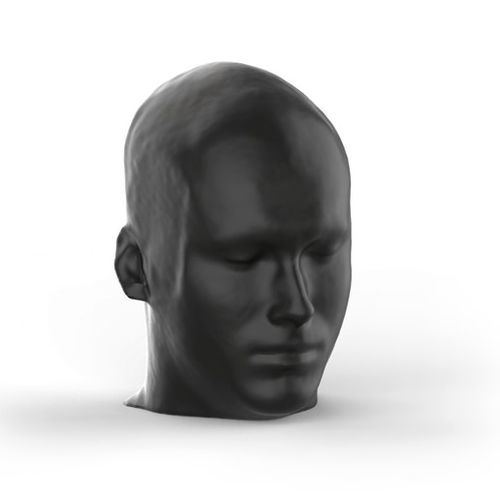 Phantom di calibrazione per scanner a raggi X - NLP1000 - Erler-Zimmer - di testa