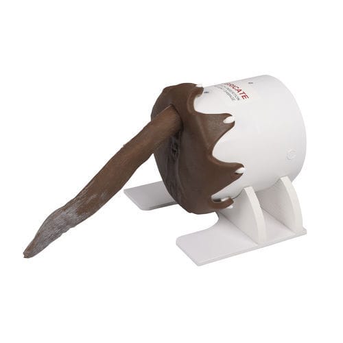 Simulatore di palpazione rettale - VET4650 - Erler-Zimmer - veterinario / canino / in silicone