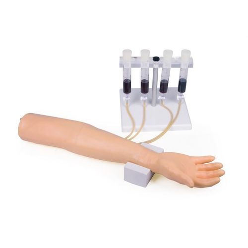 Simulatore per iniezioni endovenose - 7010 - Erler-Zimmer - per assistenza generale / di braccio