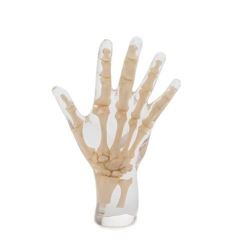 Phantom di calibrazione per radiografia - 7210 - Erler-Zimmer - mano
