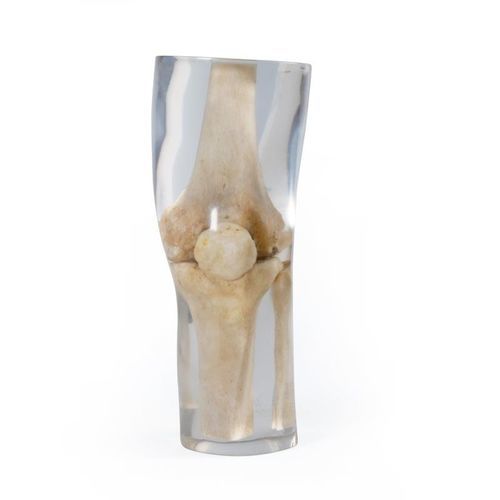 Phantom di calibrazione per radiografia - 7250 - Erler-Zimmer - per ginocchio