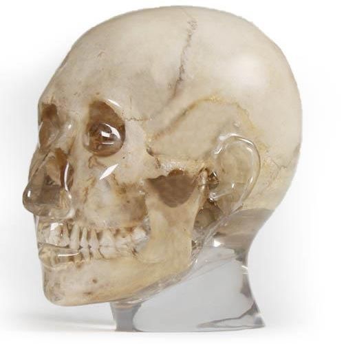 Phantom di calibrazione per radiografia dentale - 7320 - Erler-Zimmer - di testa