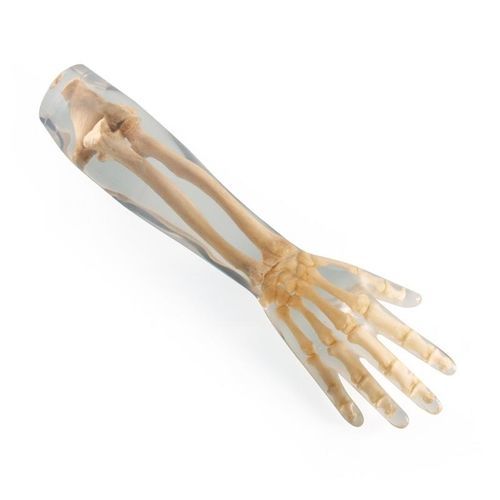 Phantom di calibrazione per radiografia - 7220 - Erler-Zimmer - di braccio